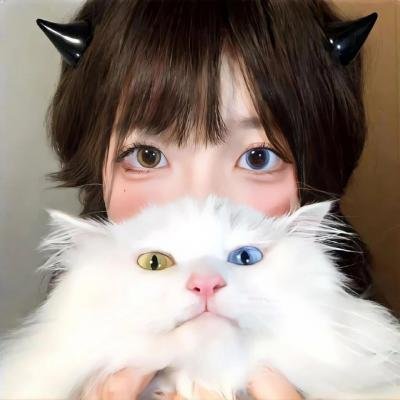 罗宾汉的滑稽冒险 在线观看封面